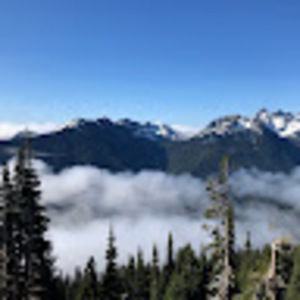 Meet your Posher, Julia